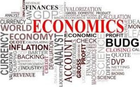 Pengertian Money Follow Program